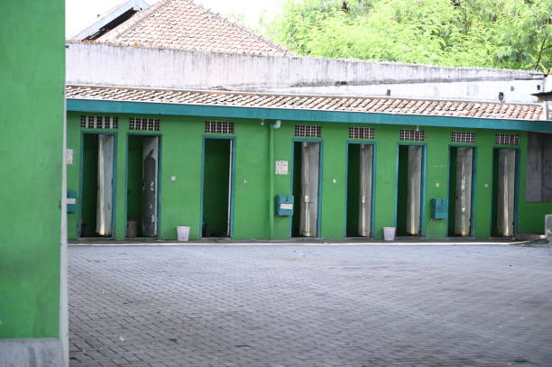 Best Sanitation services for porta potties  in Reed City, MI